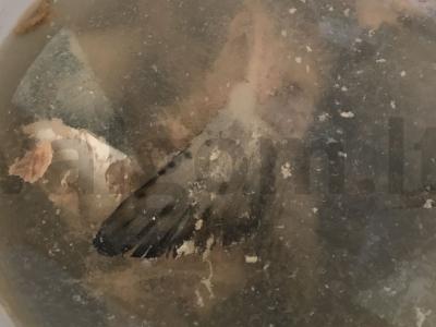 Lašišų filė žuvienė Žingsnis 1