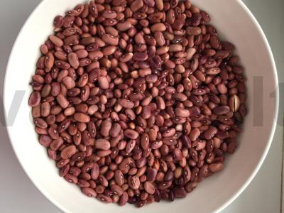 Naudingas lobio Žingsnis 1