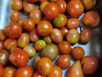 Sūdyti pomidorai žiemai su estragonu Žingsnis 1