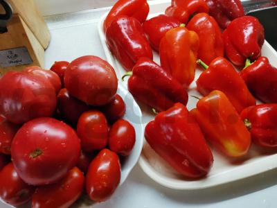 Namų lečo Žingsnis 1