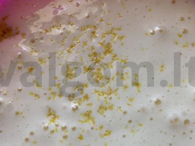 Purūs citrininiai biskvitai tortui Žingsnis 1