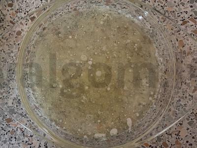 Kiaulienos steikas su sūriu ir citrinos sultimis orkaitėje Žingsnis 2