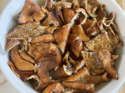 Grikių košė su džiovintomis voveraitėmis ir morkomis Žingsnis 1