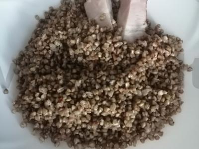 Birios grikių košės pagrindine nuotrauka