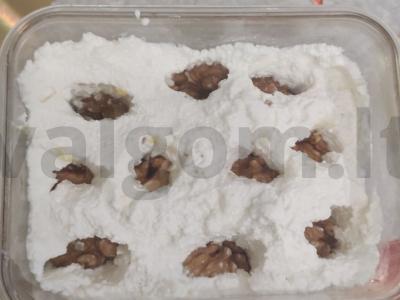 Naudingas užkandis iš varškės konteineryje Žingsnis 3