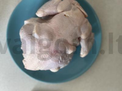 Vištiena greitai Žingsnis 2