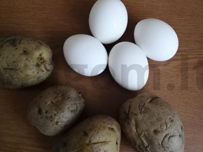 Okroška su krienu Žingsnis 1