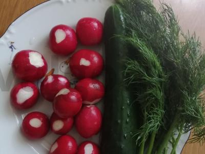 Okroška su krienu Žingsnis 2