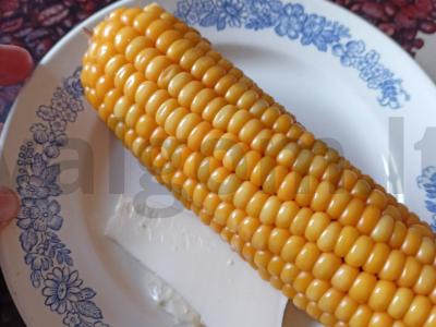 Virta kukurūza savo sultyse Žingsnis 3