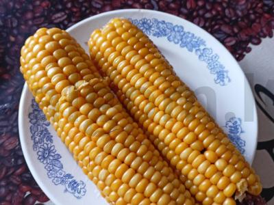 Virta kukurūza savo sultyse pagrindine nuotrauka