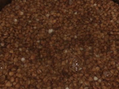 Kumpiai majonezo-garstyčių apsiauste su grikių koše Žingsnis 4