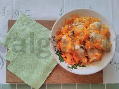 Vištiena su morkomis pagrindine nuotrauka