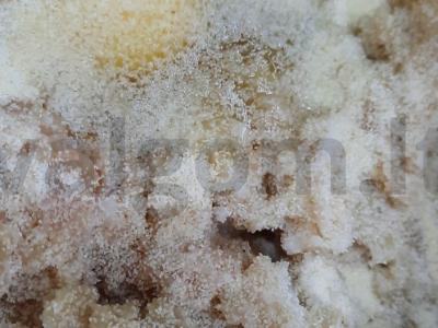 Žuvies kotletai su manų kruopomis Žingsnis 2