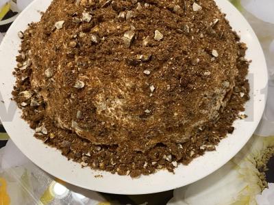 Tortas „Vėžlio kiautas“ pagrindine nuotrauka