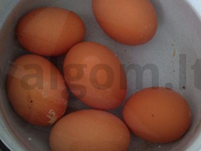 Paprasta vasaros okroška Žingsnis 1