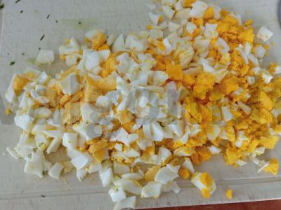 Paprasta vasaros okroška Žingsnis 9