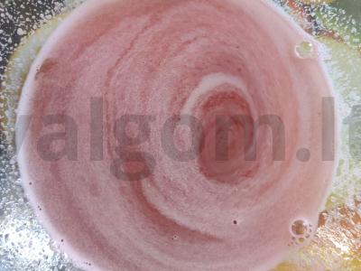 Hibisko ir gervuogių želė Žingsnis 3