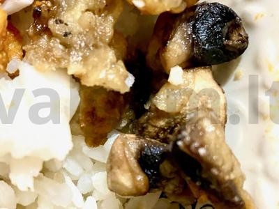 Šampinjonai „Ronny“ pagrindine nuotrauka