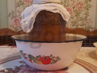 Duonos kvašas Žingsnis 5