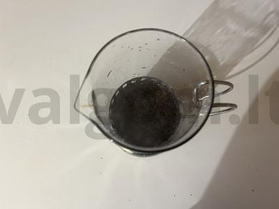 Arbatos gėrimas su estragonu ir serbentais Žingsnis 2