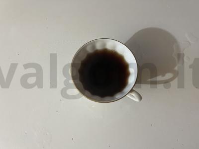 Arbatos gėrimas su estragonu ir serbentais pagrindine nuotrauka