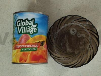 Namų tropinis musas Žingsnis 2