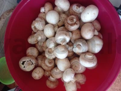 Sūdyti pievagrybiai užkandžiai Žingsnis 1