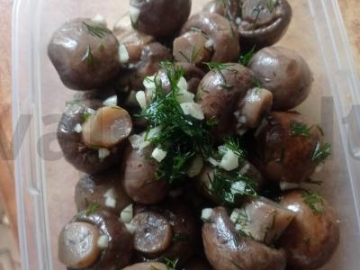 Sūdyti pievagrybiai užkandžiai Žingsnis 3