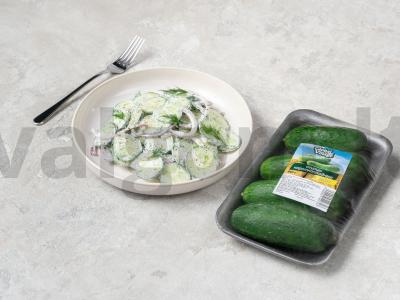 Gaivus salotas su grietine pagrindine nuotrauka