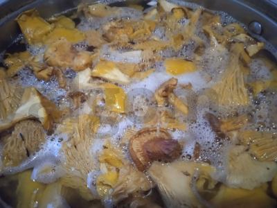 Voveraitės aliejuje Žingsnis 1