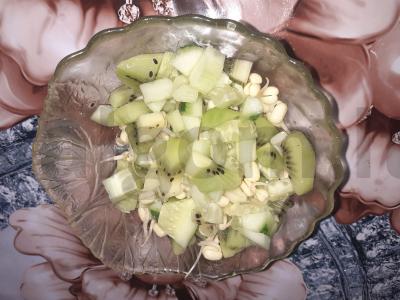 Gyvas „Emerald“ salotas su mungo daigais ir kiviais pagrindine nuotrauka