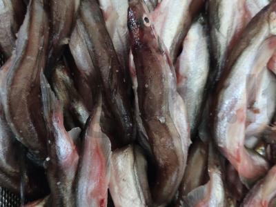 Skrudinta žuvis su trupiniais Žingsnis 1