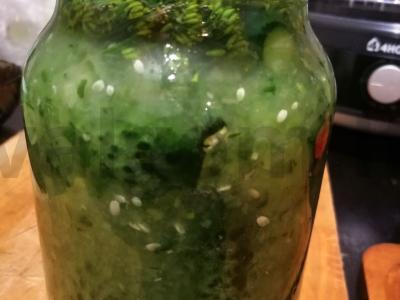 Namų sūdyti agurkai pagrindine nuotrauka