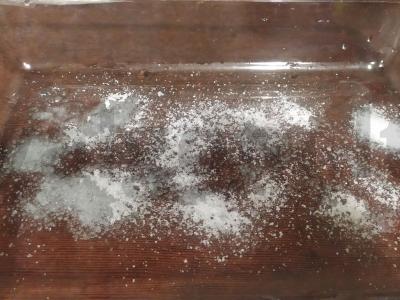 Sūdyta Karelijos lašiša Žingsnis 2