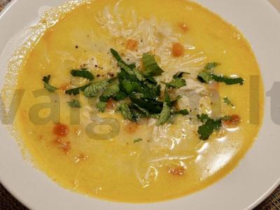 Pikantiškas vištienos sriuba su ryžių makaronais pagrindine nuotrauka