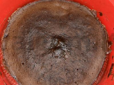 Skanus biskvitas su kakava mikrobangų krosnelėje Žingsnis 4