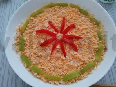 Salotos su džiovintais abrikosais ir vištienos krūtinėle pagrindine nuotrauka