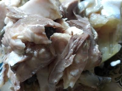 Baltojo upėtakio žuvis Žingsnis 2