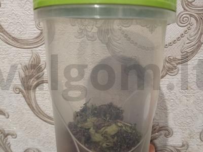 Naudingas žolelių arbata su šabelniku ir šipiniais Žingsnis 3