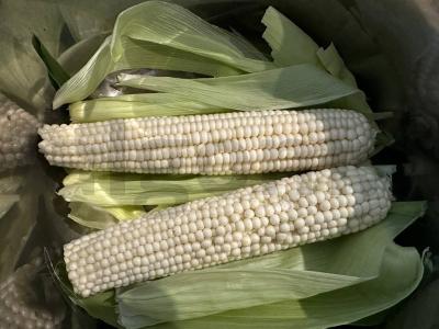 Virta kukurūza su sviestu Žingsnis 1