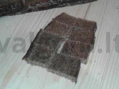 Kanarė su rugine duona ir agurku Žingsnis 1