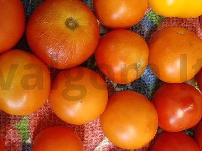 Pomidorai savo sultyse Žingsnis 1