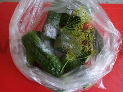 Krisčiai sūdyti agurkai Žingsnis 3