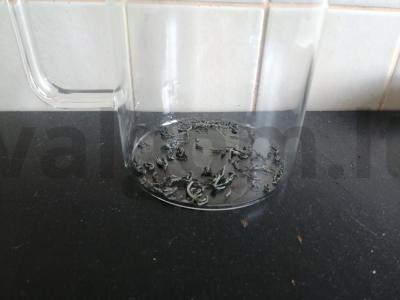 Naudingas arbata Žingsnis 1