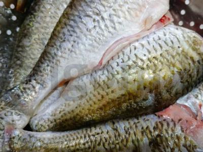 Kepta plota su svogūnais Žingsnis 1