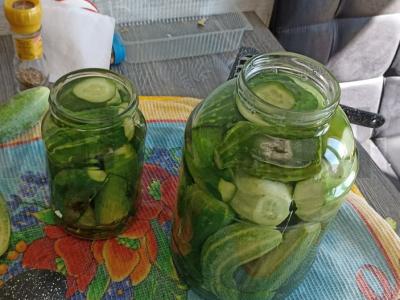 Sūdyti agurkai su krapais Žingsnis 2