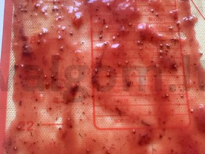 Braškės pastila ant obuolių sulčių Žingsnis 5