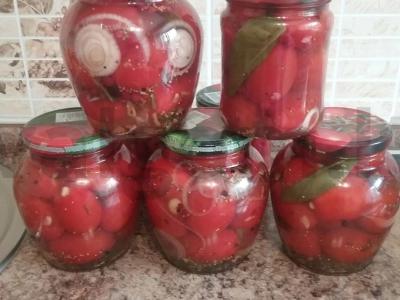 Pomidorai želė pagrindine nuotrauka