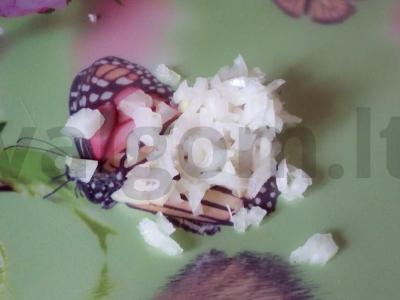 Vištienos ir kivio salotas Žingsnis 1