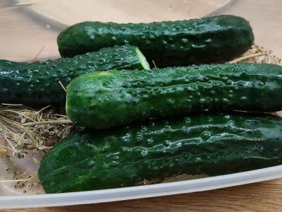 Traškūs sūdyti agurkai Žingsnis 3